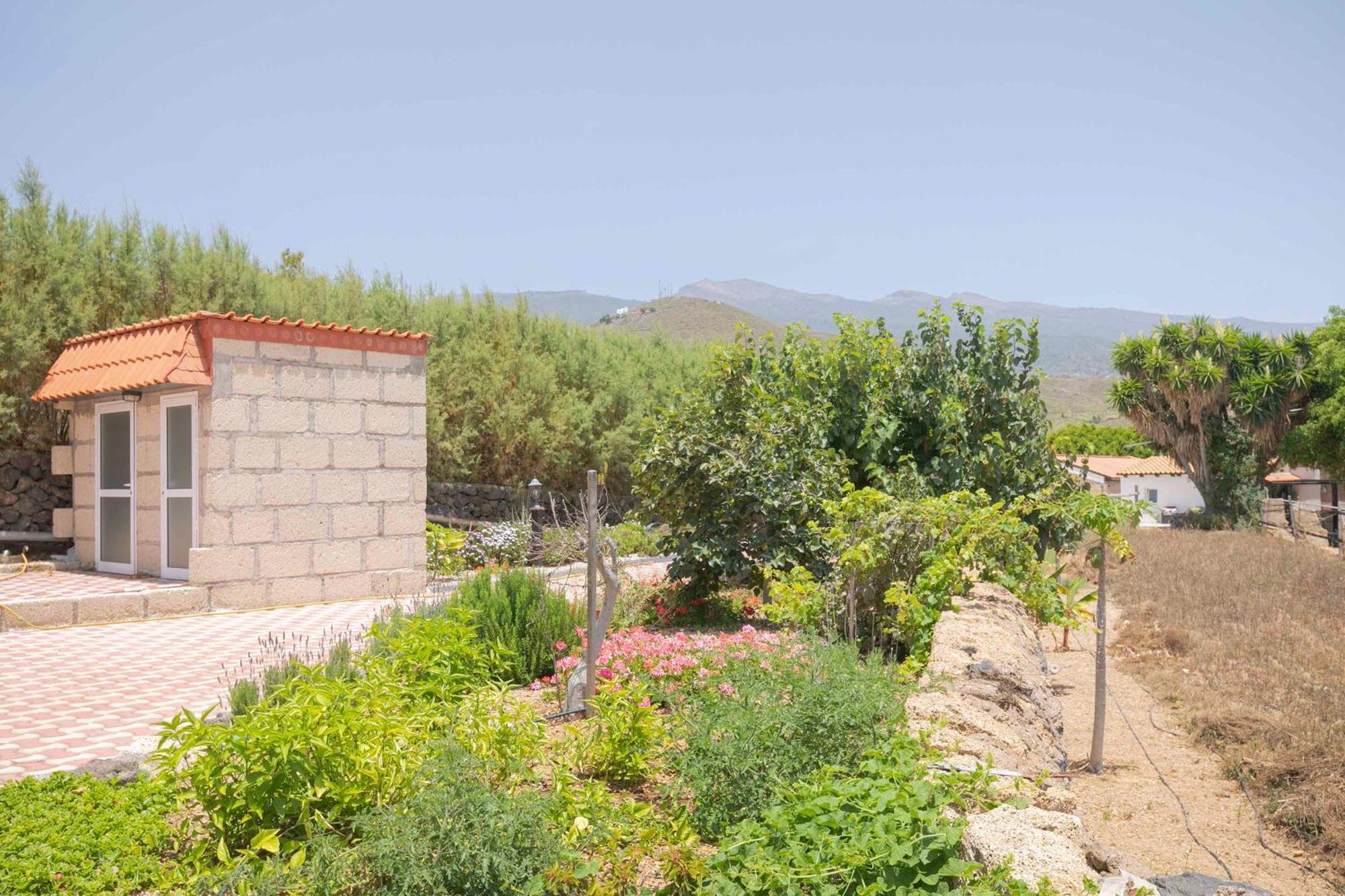 Casa Wayra Villa Granadilla De Abona Dış mekan fotoğraf