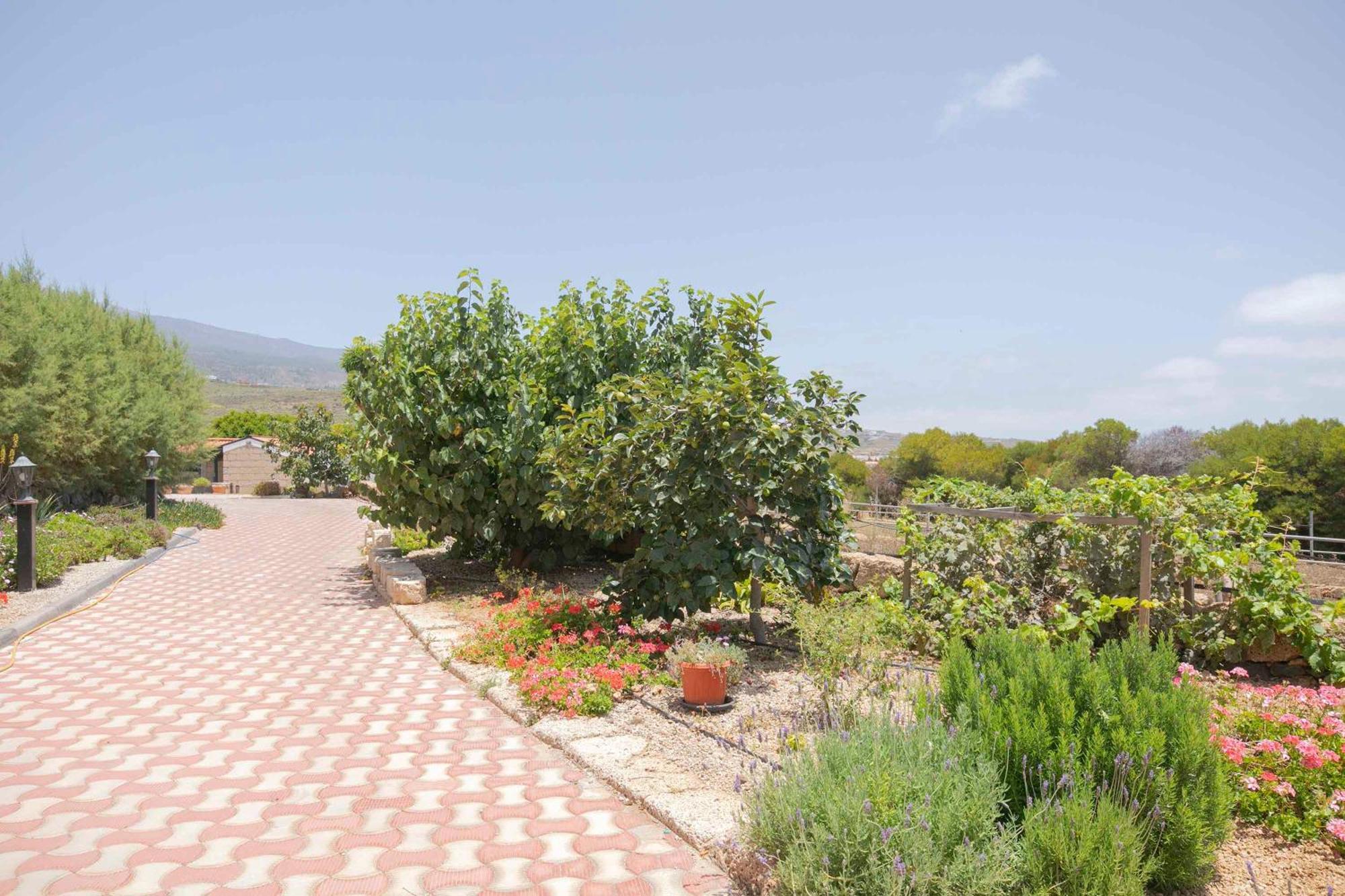 Casa Wayra Villa Granadilla De Abona Dış mekan fotoğraf